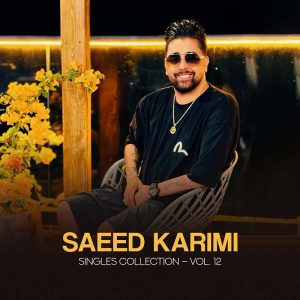 Album: Singles Collection, Vol. 12