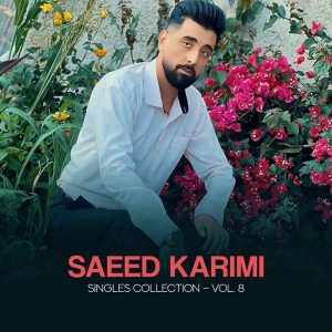 Album: Singles Collection, Vol. 8
